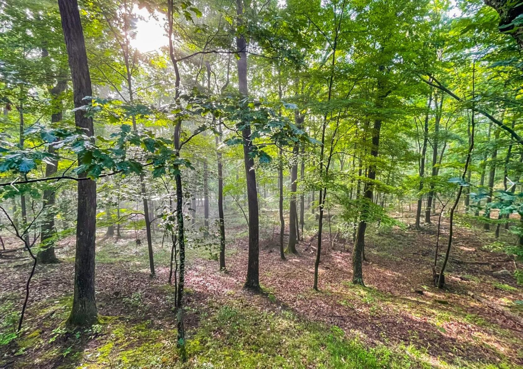 Modern Retreat W Hot Tub, Deck & Resort Amenities Berkeley Springs Exteriér fotografie